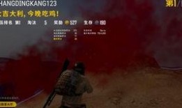 菜鸟爆料吃鸡视频下载,吃鸡视频下载攻略，轻松获取热门游戏精彩瞬间